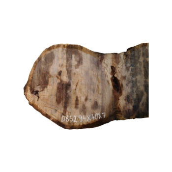 Plaster Dębowy 94x40x7cm Dąb