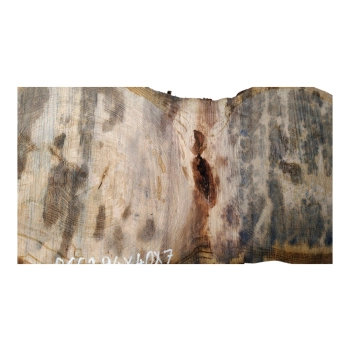 Plaster Dębowy 94x40x7cm Dąb