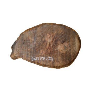 Plaster Dębowy 79x53x8cm Dąb