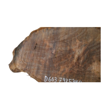 Plaster Dębowy 79x53x8cm Dąb