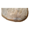 Plaster Dębowy 60x55x8,5cm Dąb