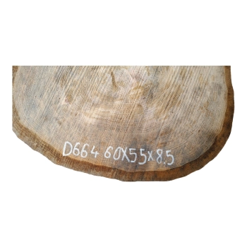 Plaster Dębowy 60x55x8,5cm Dąb