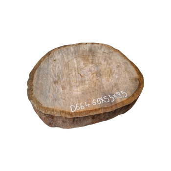 Plaster Dębowy 60x55x8,5cm Dąb