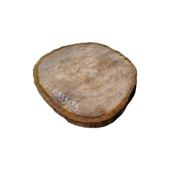 Plaster Dębowy 60x55x8,5cm Dąb