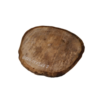 Plaster Dębowy 61x56x7cm Dąb