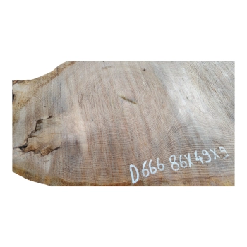 Plaster Dębowy 86x49x9cm Dąb