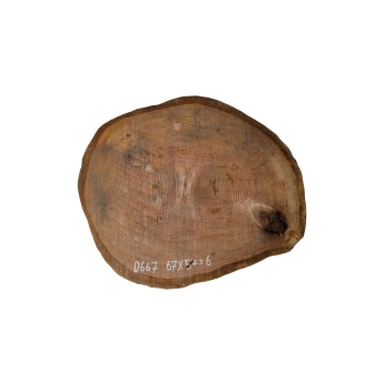 Plaster Dębowy 67x57x6cm Dąb