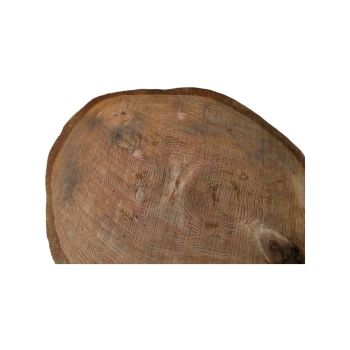 Plaster Dębowy 67x57x6cm Dąb