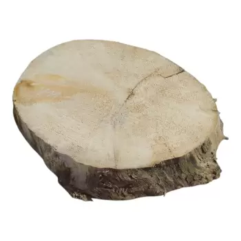 Plaster Wierzby z Czeczotą 36x31x4cm