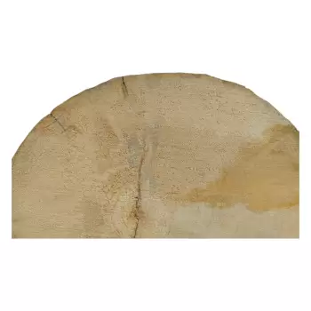 Plaster Wierzby z Czeczotą 35x29x4cm