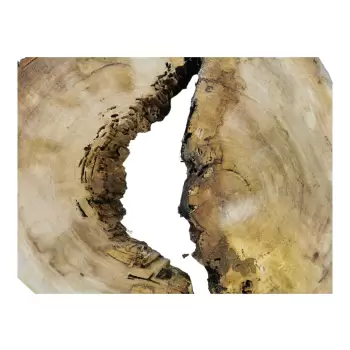 Plaster Wiązu w Kawałkach 80x72x10cm