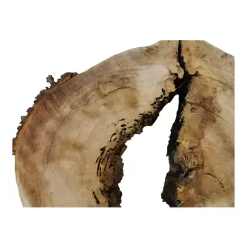 Plaster Wiązu w Kawałkach 80x72x10cm