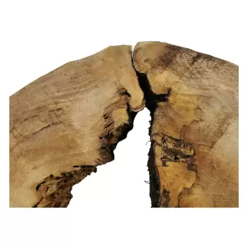 Plaster Wiązu w Kawałkach 85x104x10cm
