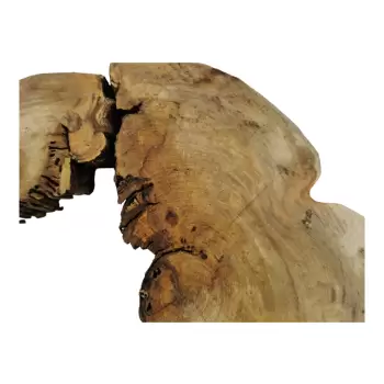 Plaster Wiązu w Kawałkach 92x78x8cm