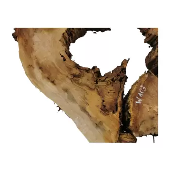 Plaster Wiązu w Kawałkach 92x78x8cm