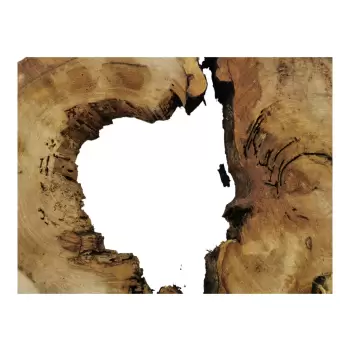 Plaster Wiązu w Kawałkach 97x78x8cm