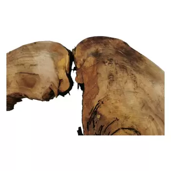Plaster Wiązu w Kawałkach 97x78x8cm