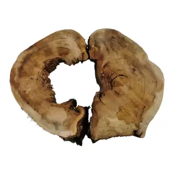 Plaster Wiązu w Kawałkach 98x73x8cm