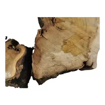 Plaster Wiązu w Kawałkach 98x73x8cm