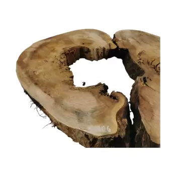 Plaster Wiązu w Kawałkach 98x73x8cm