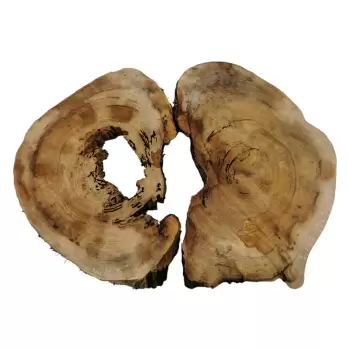 Plaster Wiązu w Kawałkach 97x71x7cm