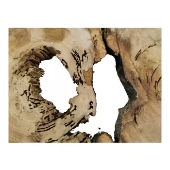 Plaster Wiązu w Kawałkach 97x71x7cm