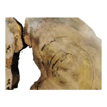 Plaster Wiązu w Kawałkach 97x71x7cm