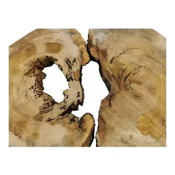 Plaster Wiązu w Kawałkach 97x71x7cm