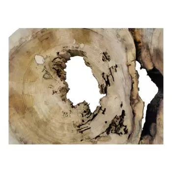 Plaster Wiązu w Kawałkach 97x68x7cm