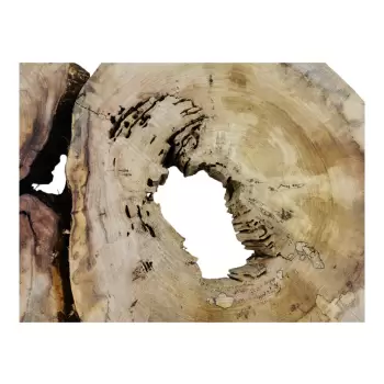 Plaster Wiązu w Kawałkach 97x67x7cm