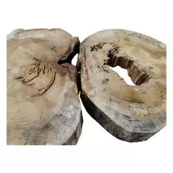 Plaster Wiązu w Kawałkach 97x67x7cm