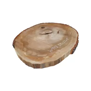 Plaster Wiązu 58x52x6cm