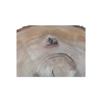 Plaster Wiązu 58x52x6cm