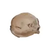 Plaster Wiązu 62x56x6cm
