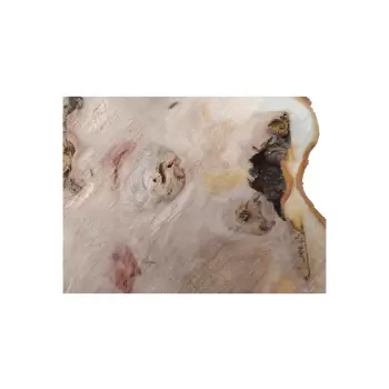 Plaster Wiązu 62x56x6cm