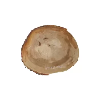 Plaster Wiązu 57x51x6cm