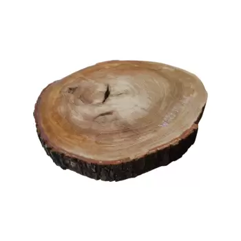 Plaster Wiązu 58x52x6cm