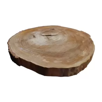 Plaster Wiązu 58x52x6cm