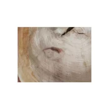 Plaster Wiązu 58x52x6cm