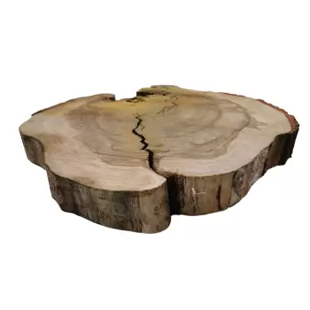 Plaster Wiązu w Kawałkach 85x78x9cm