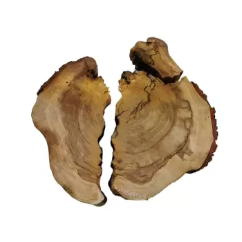 Plaster Wiązu w Kawałkach 85x78x9cm