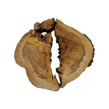 Plaster Wiązu w Kawałkach 88x70x8cm