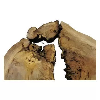 Plaster Wiązu w Kawałkach 88x70x8cm