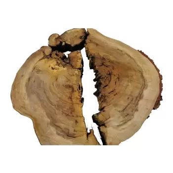 Plaster Wiązu w Kawałkach 88x70x8cm