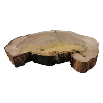 Plaster Wiązu 77x68x8cm