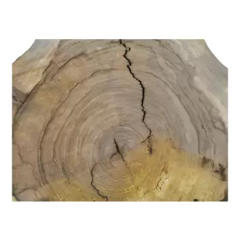 Plaster Wiązu 79x65x8cm