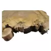 Plaster Wiązu 78x64x10cm