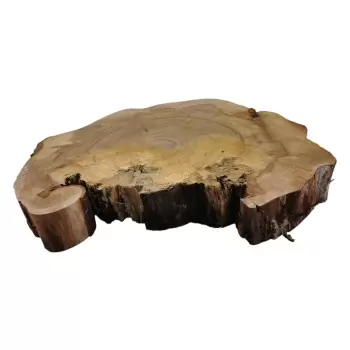 Plaster Wiązu 78x64x10cm