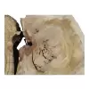 Plaster Wiązu w Kawałkach 95x66x7cm