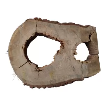 Plaster Dębowy po Suszarni 77x57x8cm